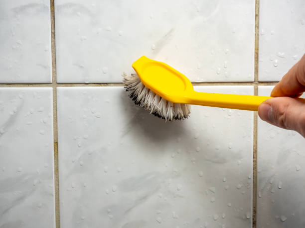 Best Black Mold Removal  in Parker, CO
