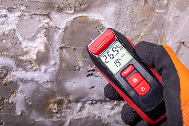 Best Mold Cleaning Services  in Parker, CO