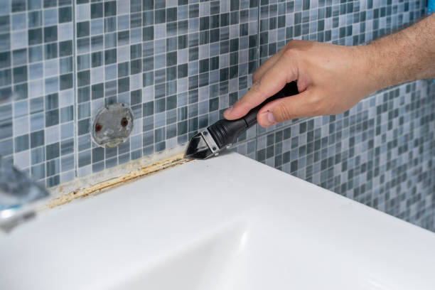 Best Emergency Mold Removal  in Parker, CO