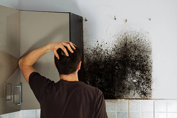 Best Mold Remediation Services  in Parker, CO